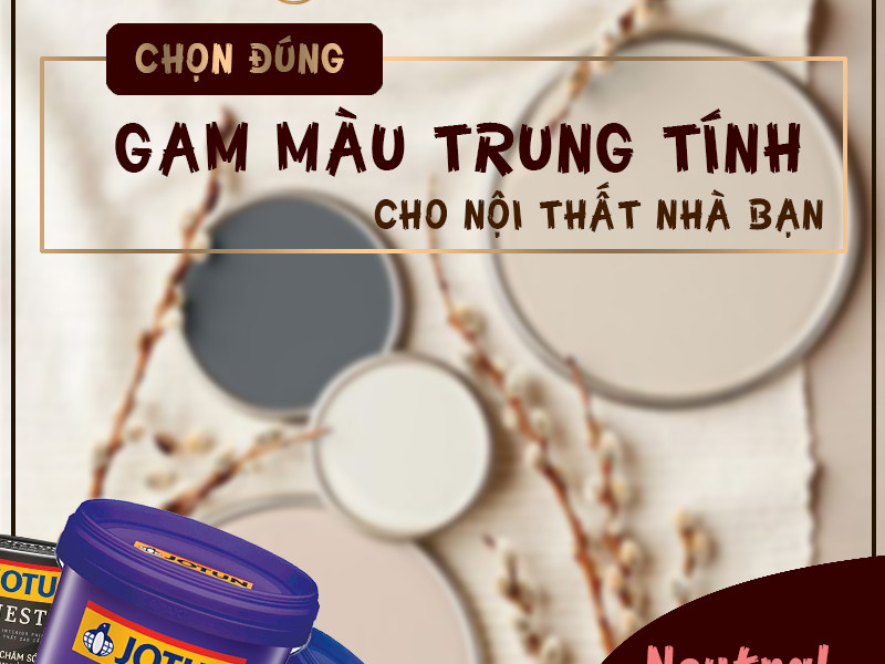 Khám phá 4 màu trung tính hiện đại và tinh tế cho góc nhỏ của bạn